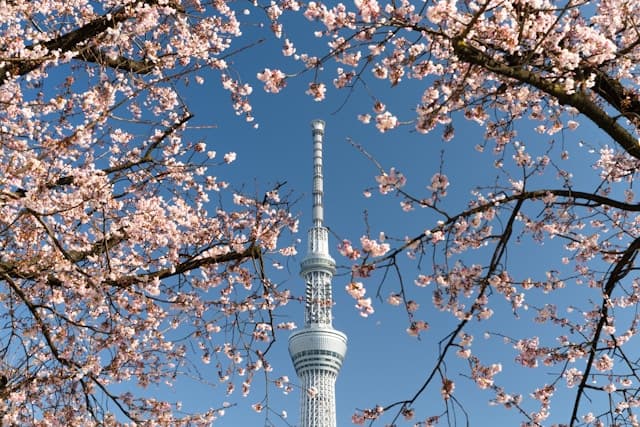 Tokyo Skytree: Daya Tarik, Harga Tiket, Jam Buka & Cara ke Sana