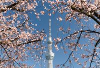 Foto: Unsplash/ryoji__iwata