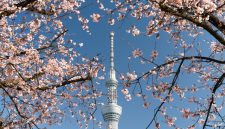 Foto: Unsplash/ryoji__iwata