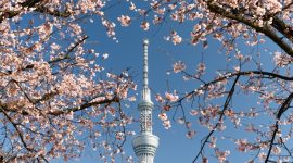 Foto: Unsplash/ryoji__iwata