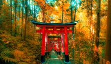 Foto: Unsplash.com/@jezar